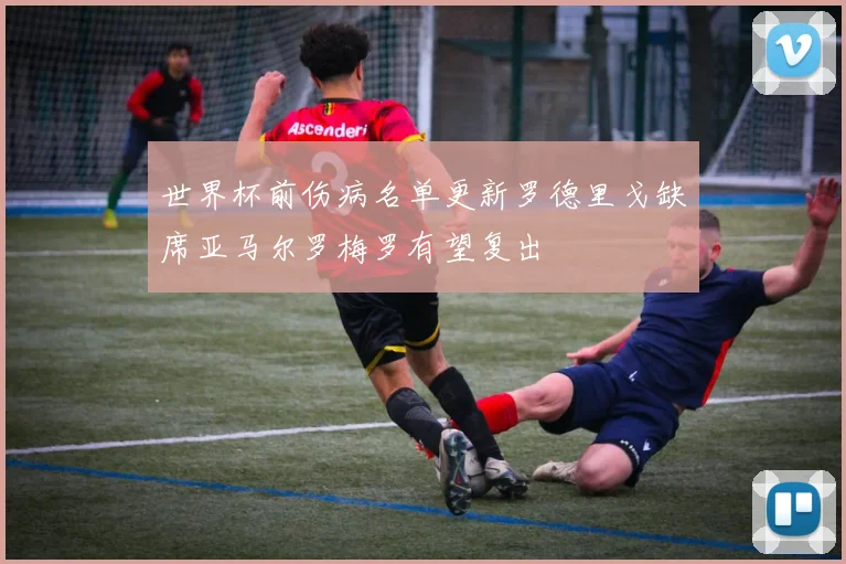 世界杯前伤病名单更新罗德里戈缺席亚马尔罗梅罗有望复出